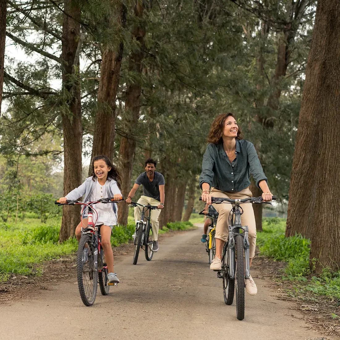 Cycling the coffee-estate lanes