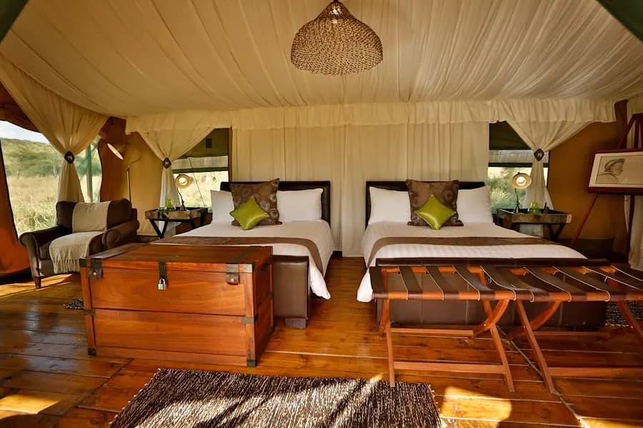 Twin beds with green cushions