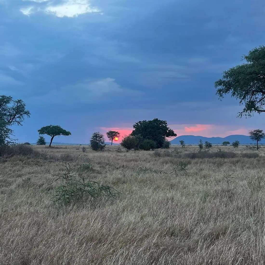 Sunset over the plain
