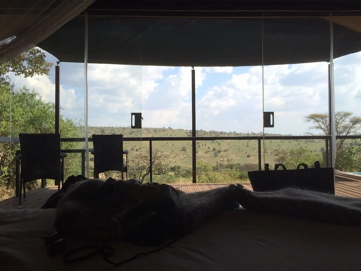 Daybed facing the plunge pool