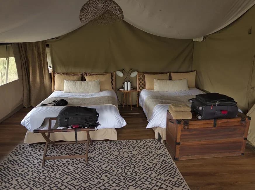 Twin beds in the tented suite