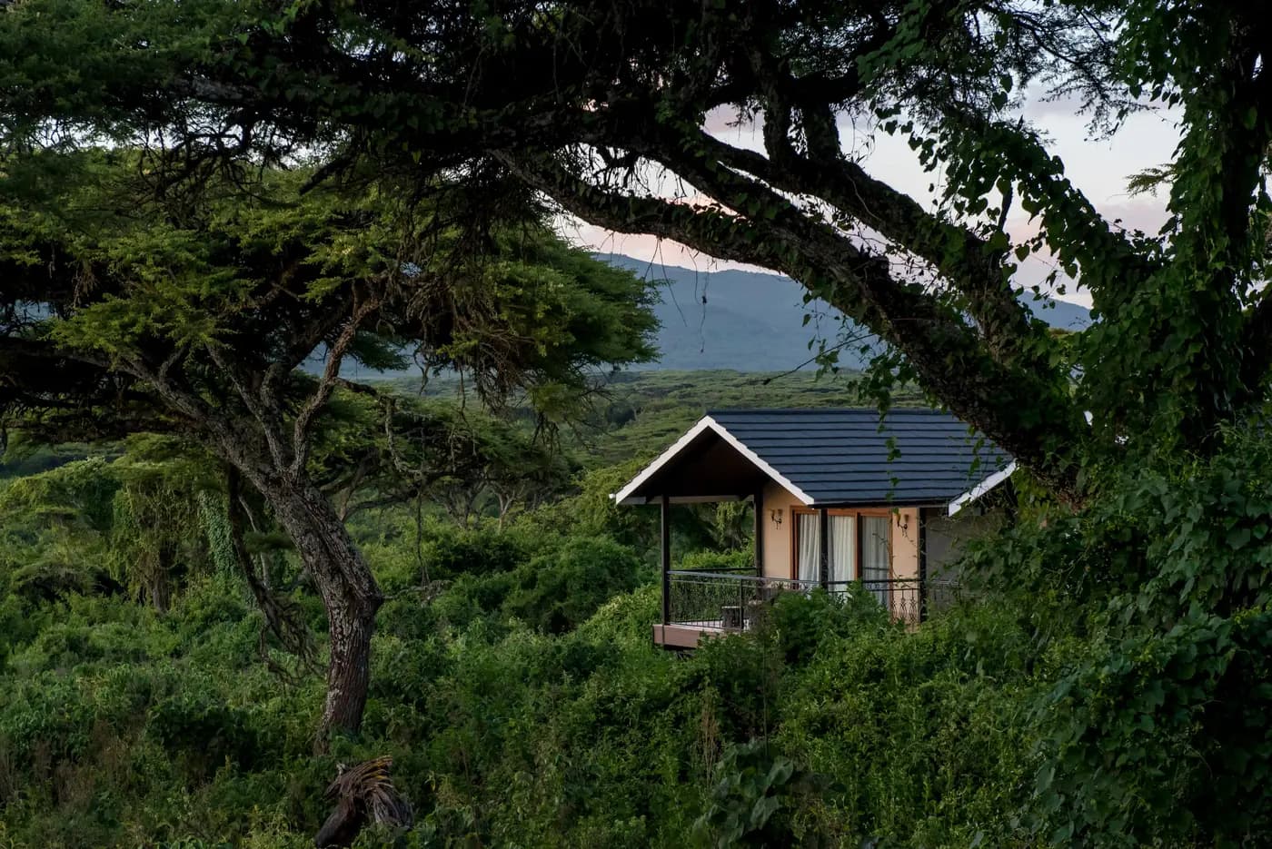 Family suite among the trees