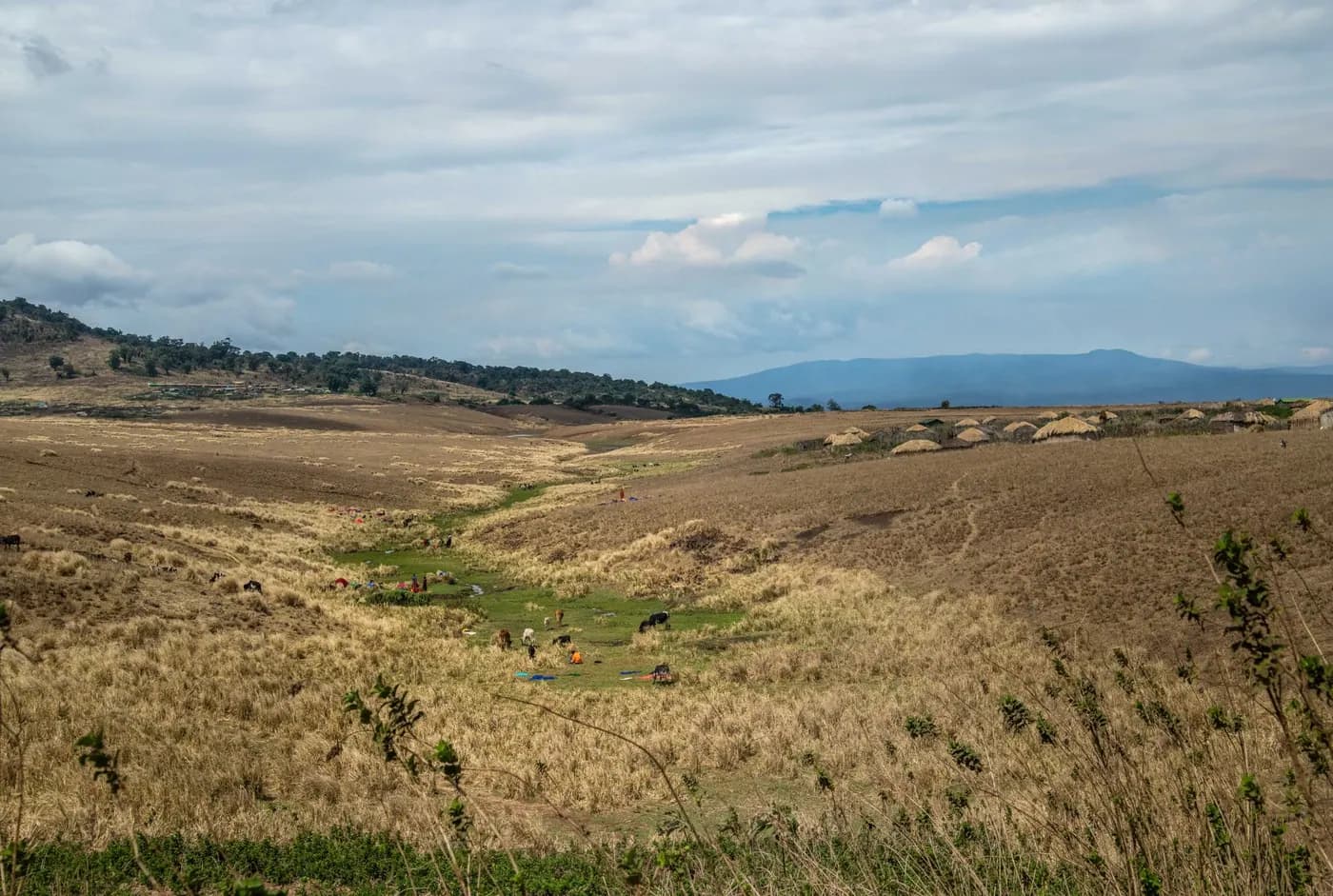 Plains falling away to the lake