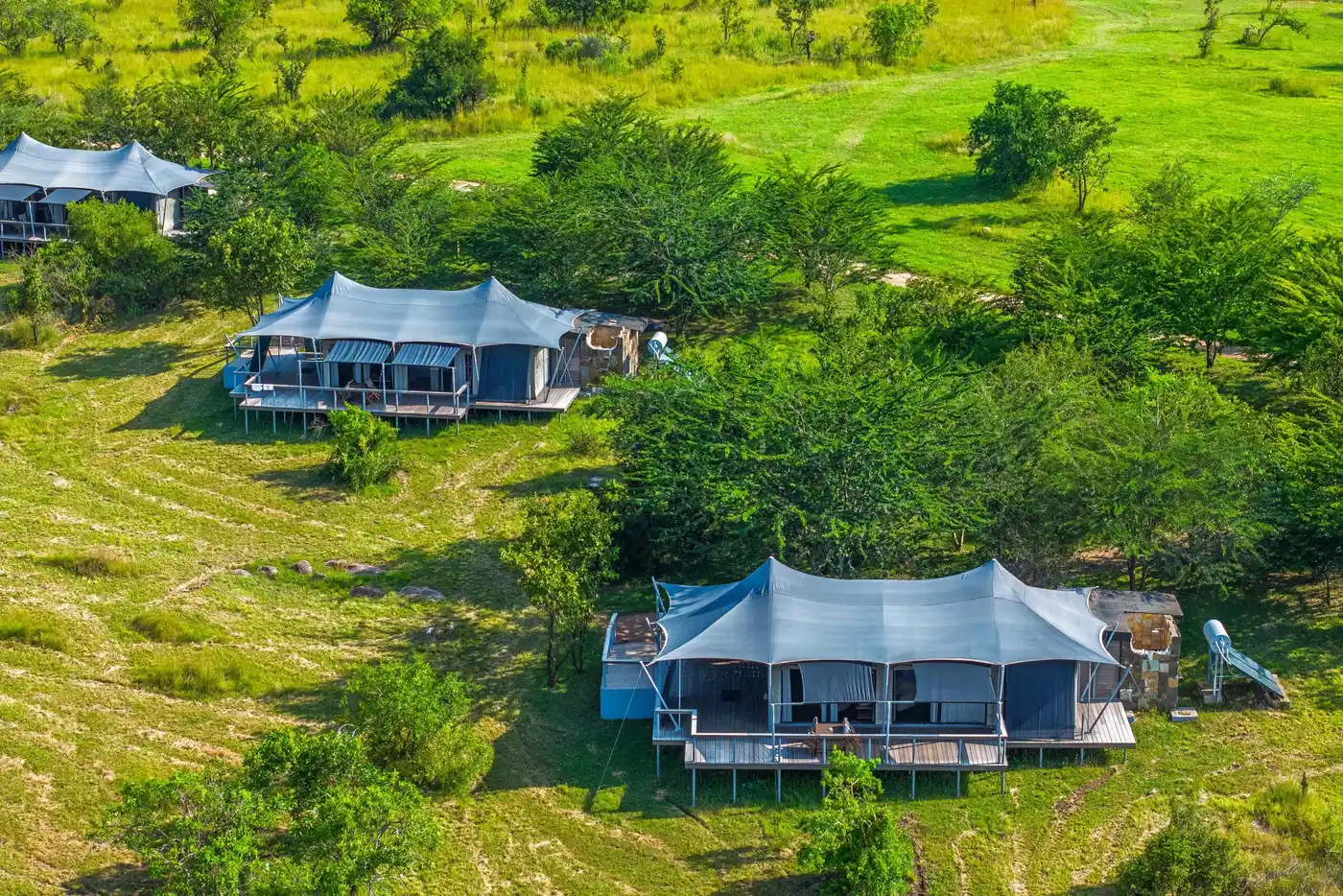 Tents among the trees from the air