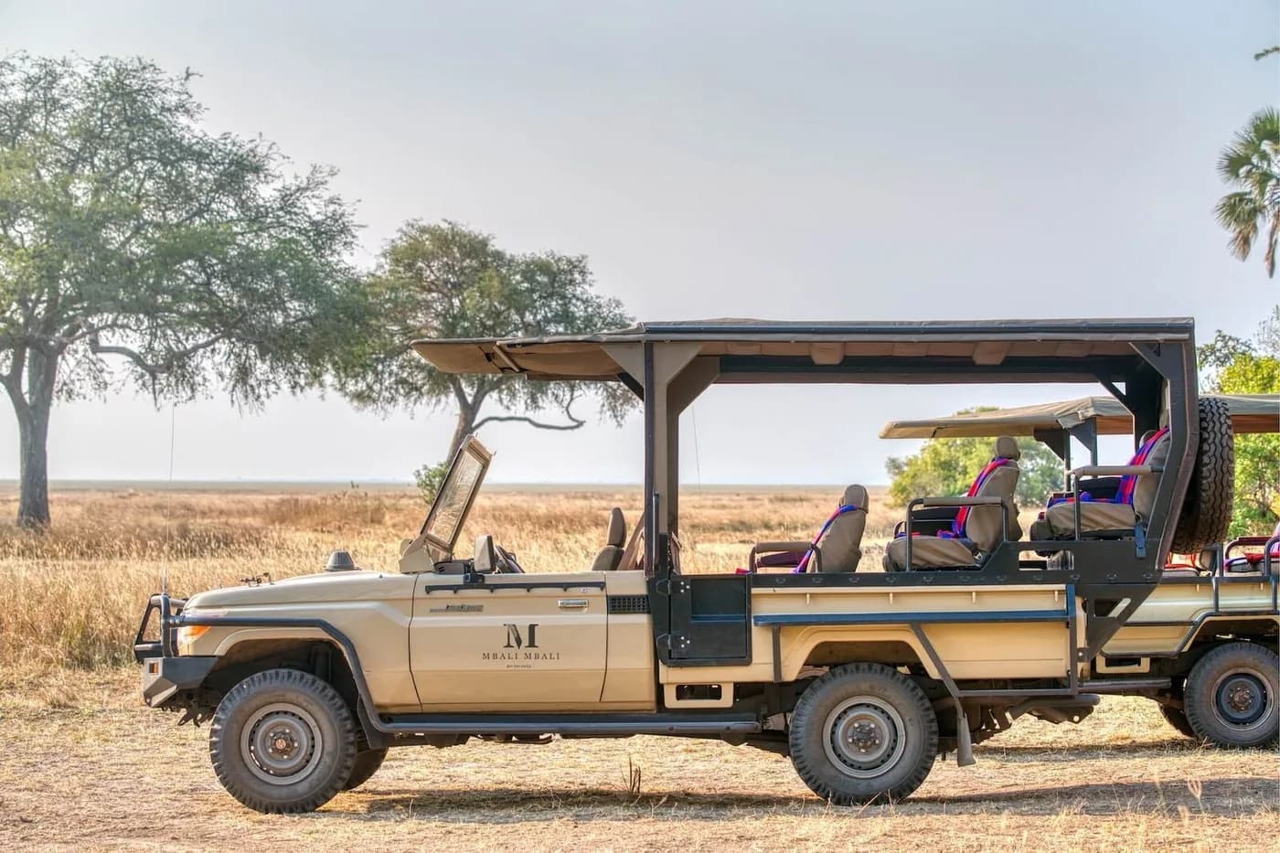 Game-drive vehicle on the plain