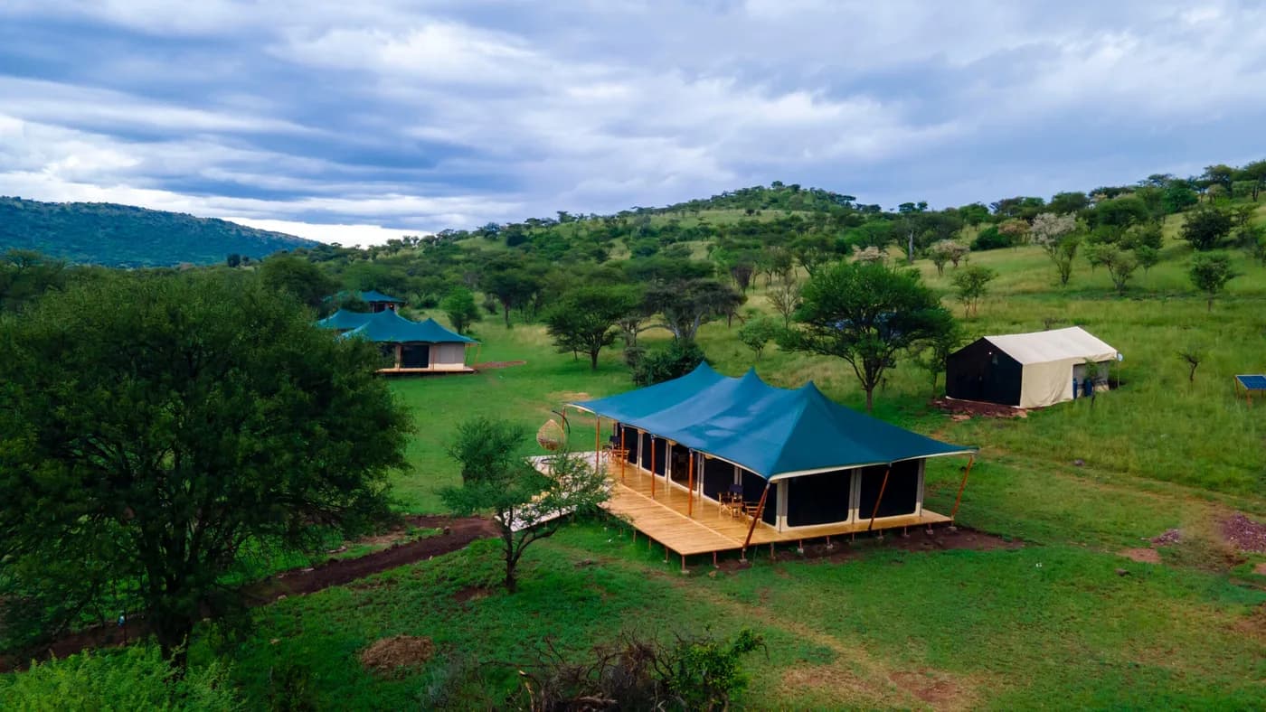 Tents spread through the acacias