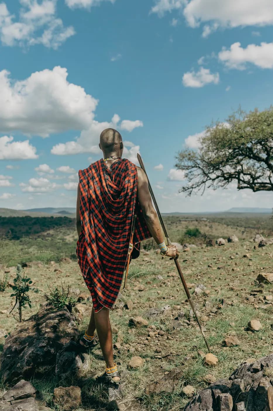 Maasai guide on the ridge