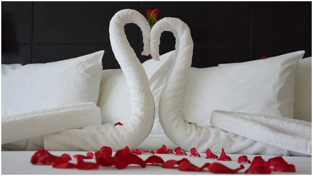 Towel swans on the bed