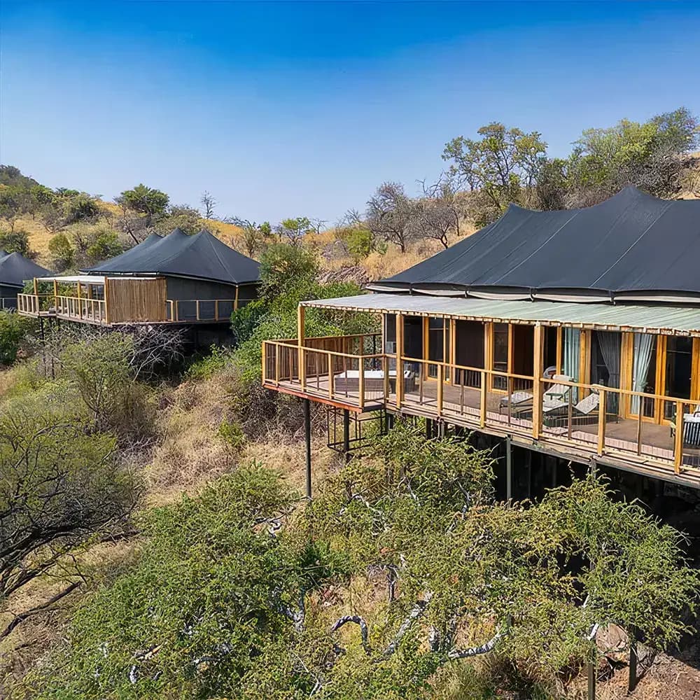 The lodge raised above the forest