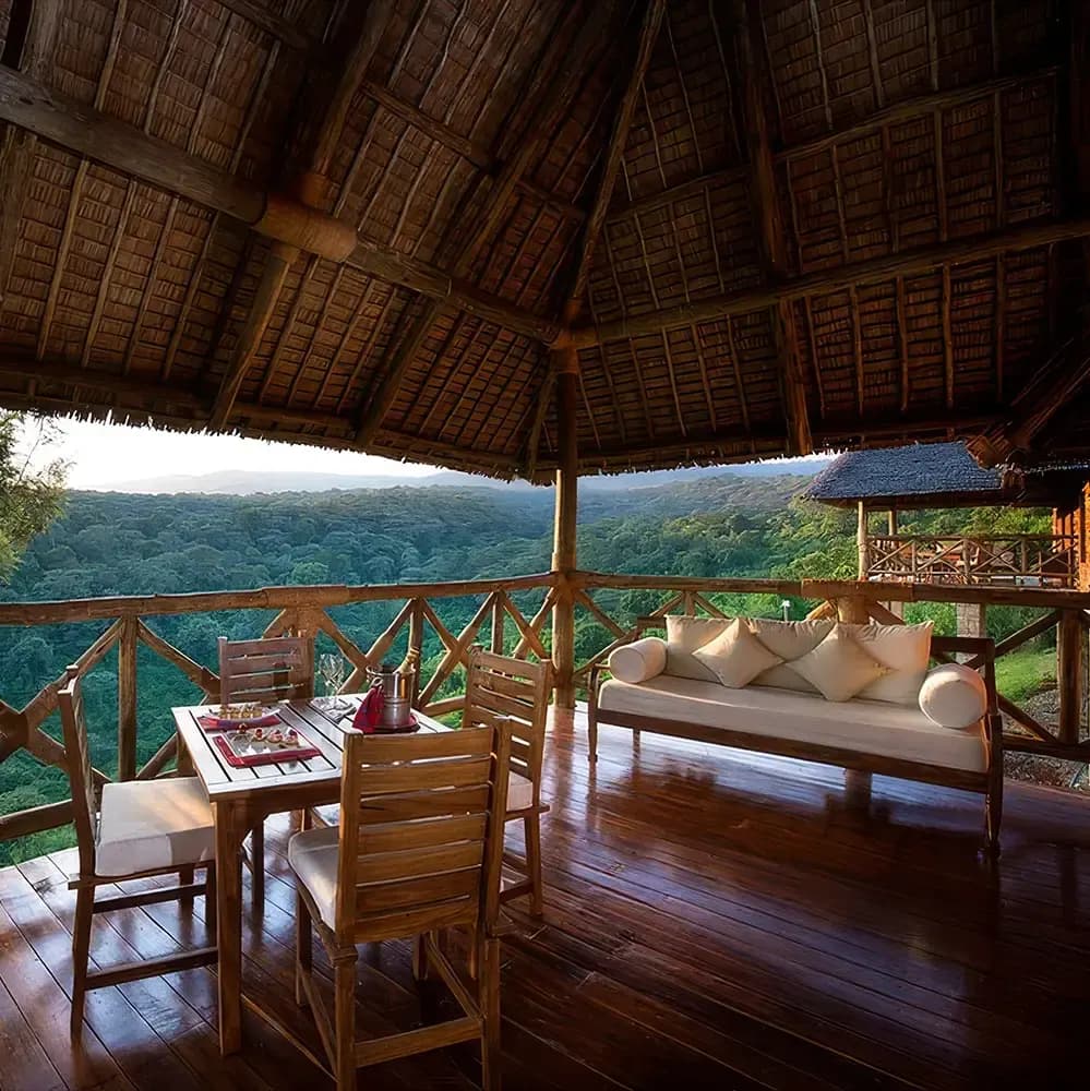 Thatched lounge and its view
