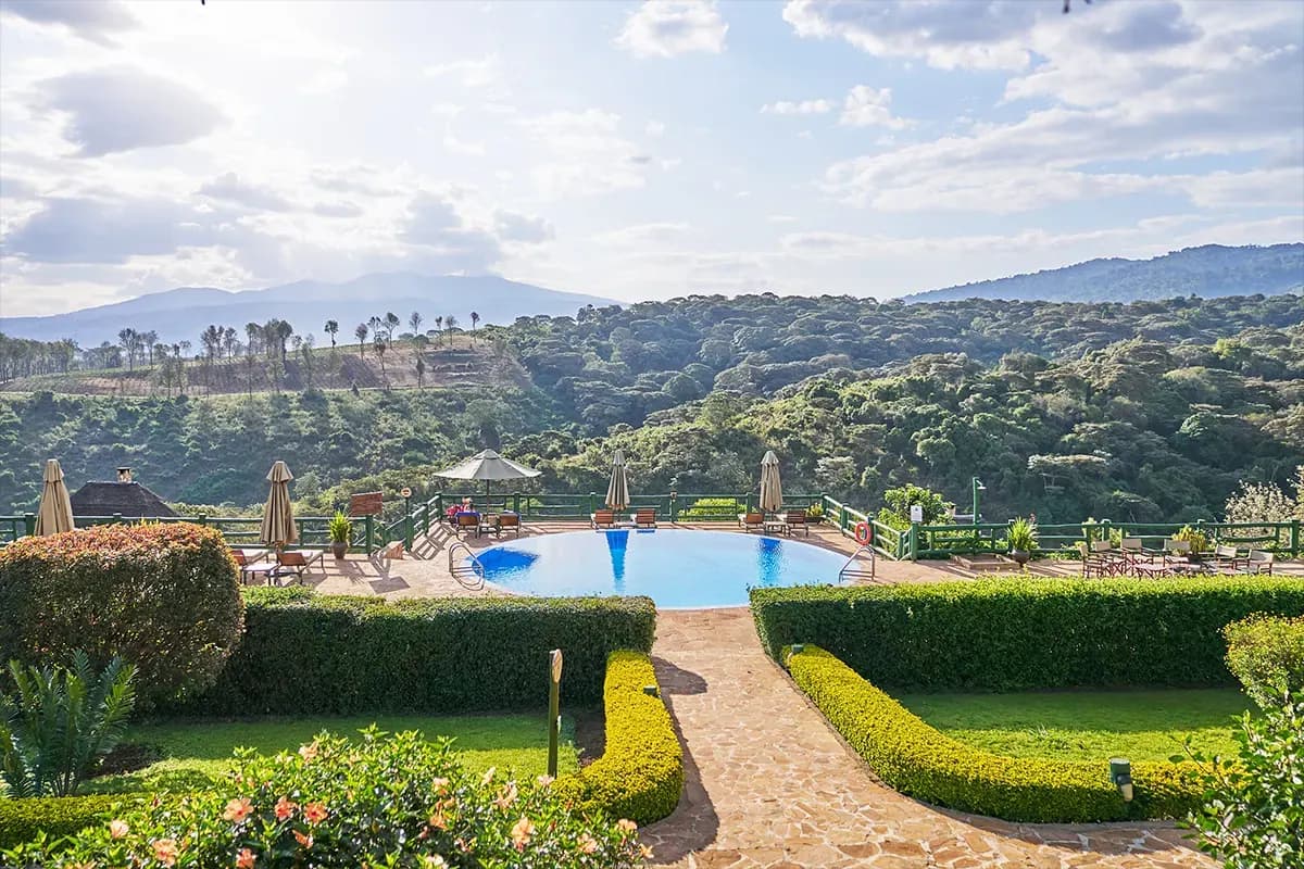 Pool and gardens from above