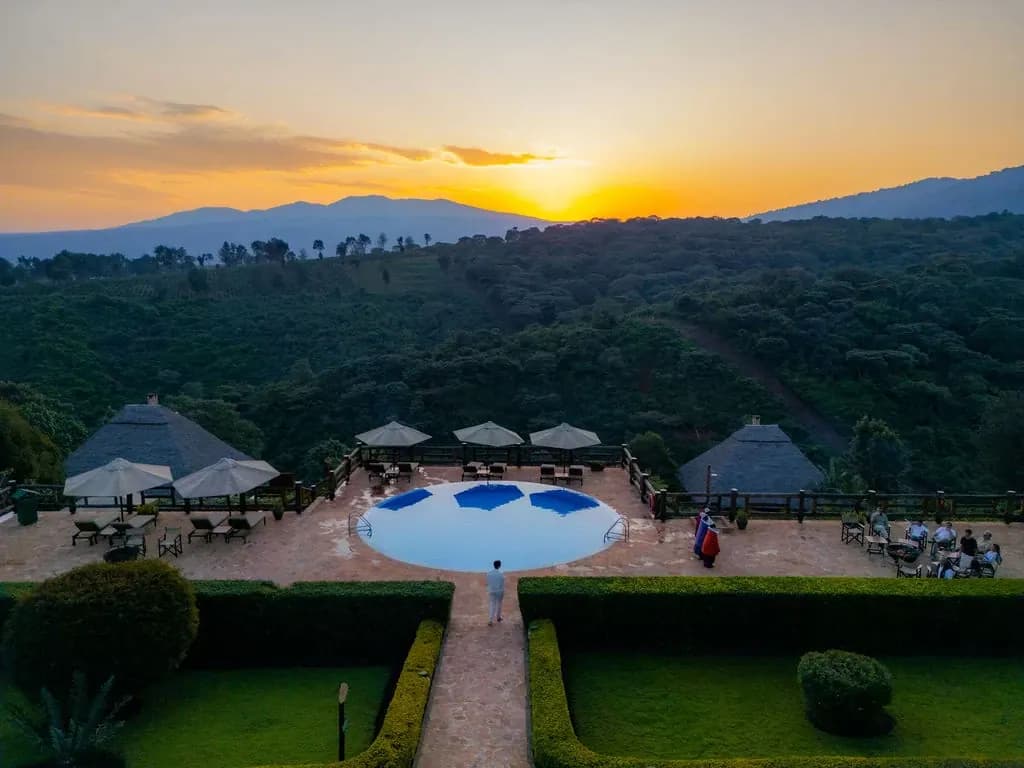Pool and gardens at sunset