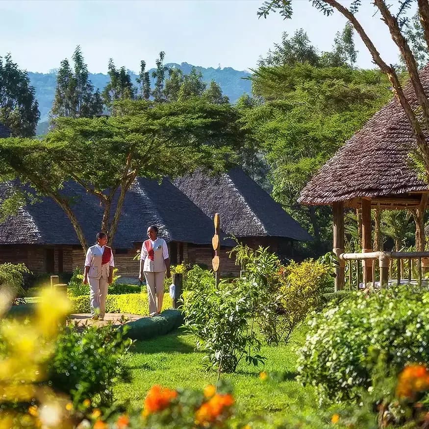 Cottages in the gardens