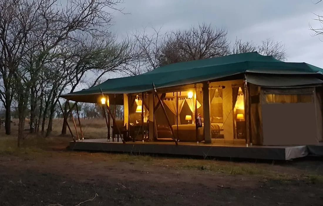 The tent lit from outside