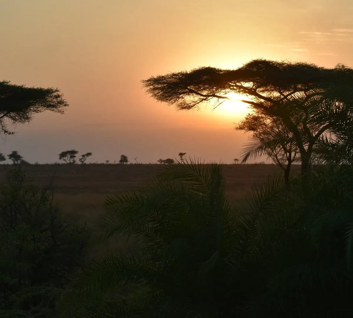 Sun going down over the plain