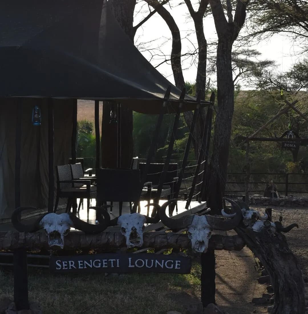 The Serengeti Lounge