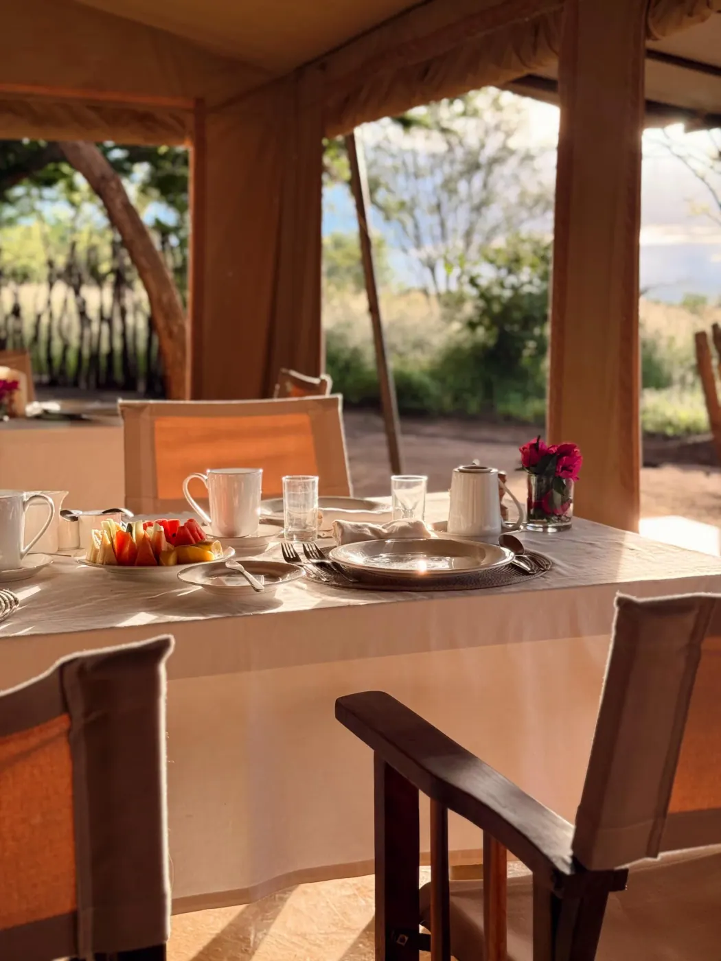 Breakfast under the canopy