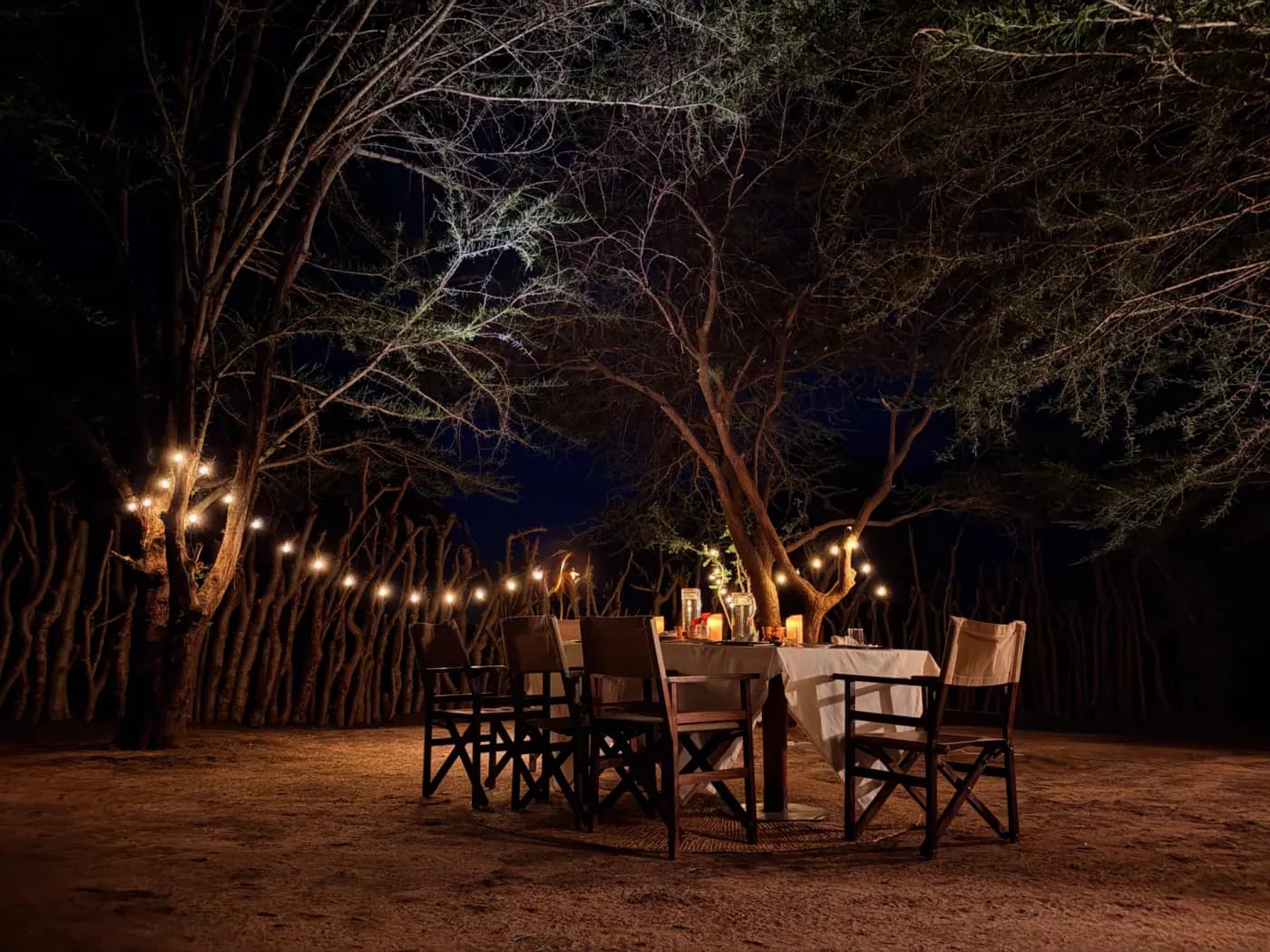 Dining under the trees at night