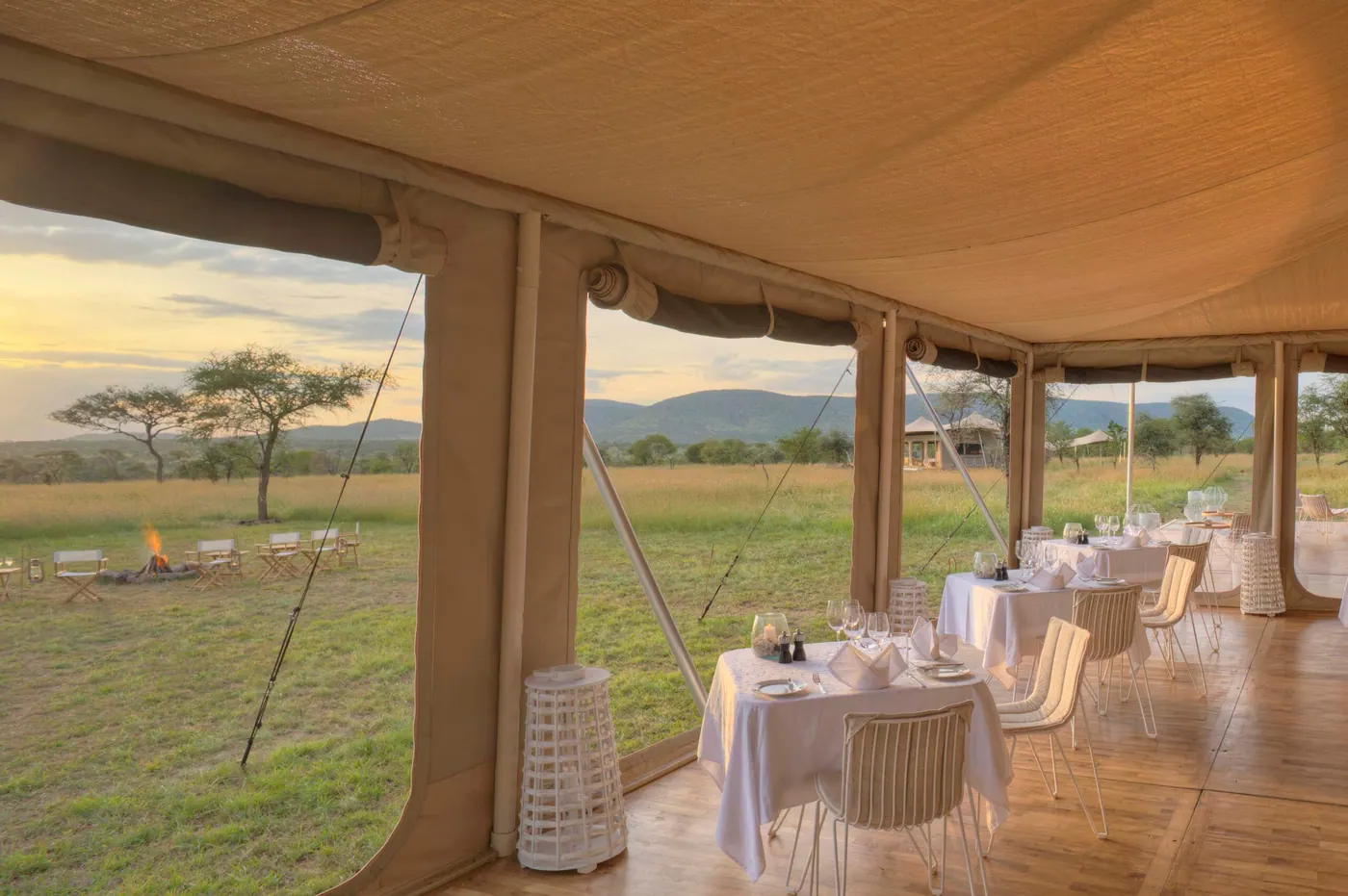 Dining under the canopy