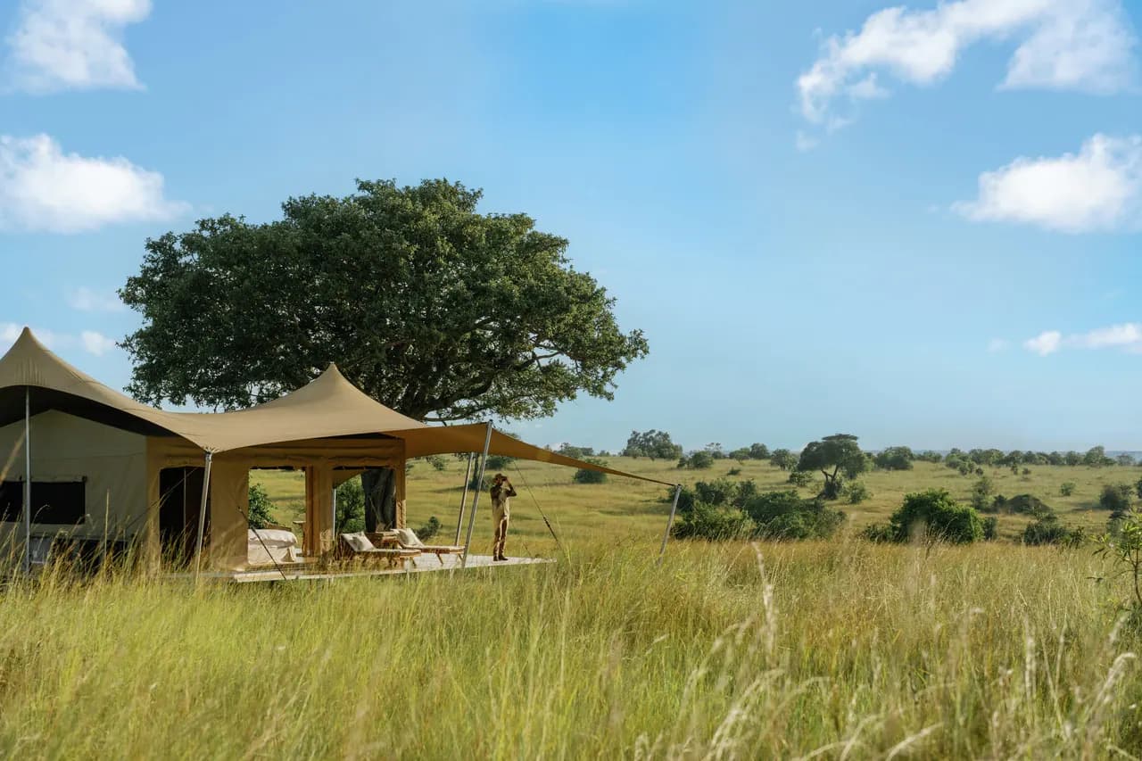 The camp in the grass