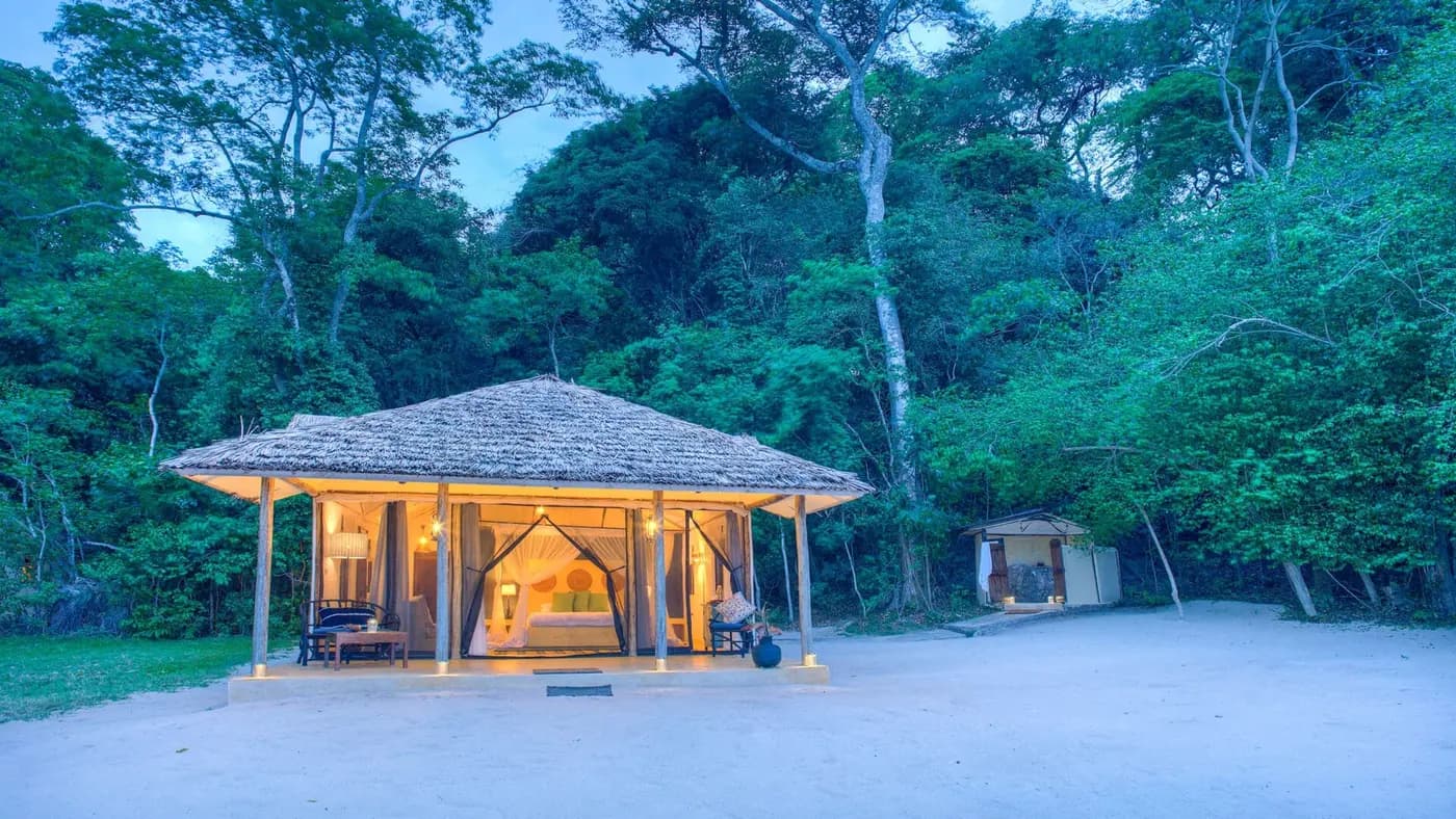 Thatched pavilion in a forest clearing