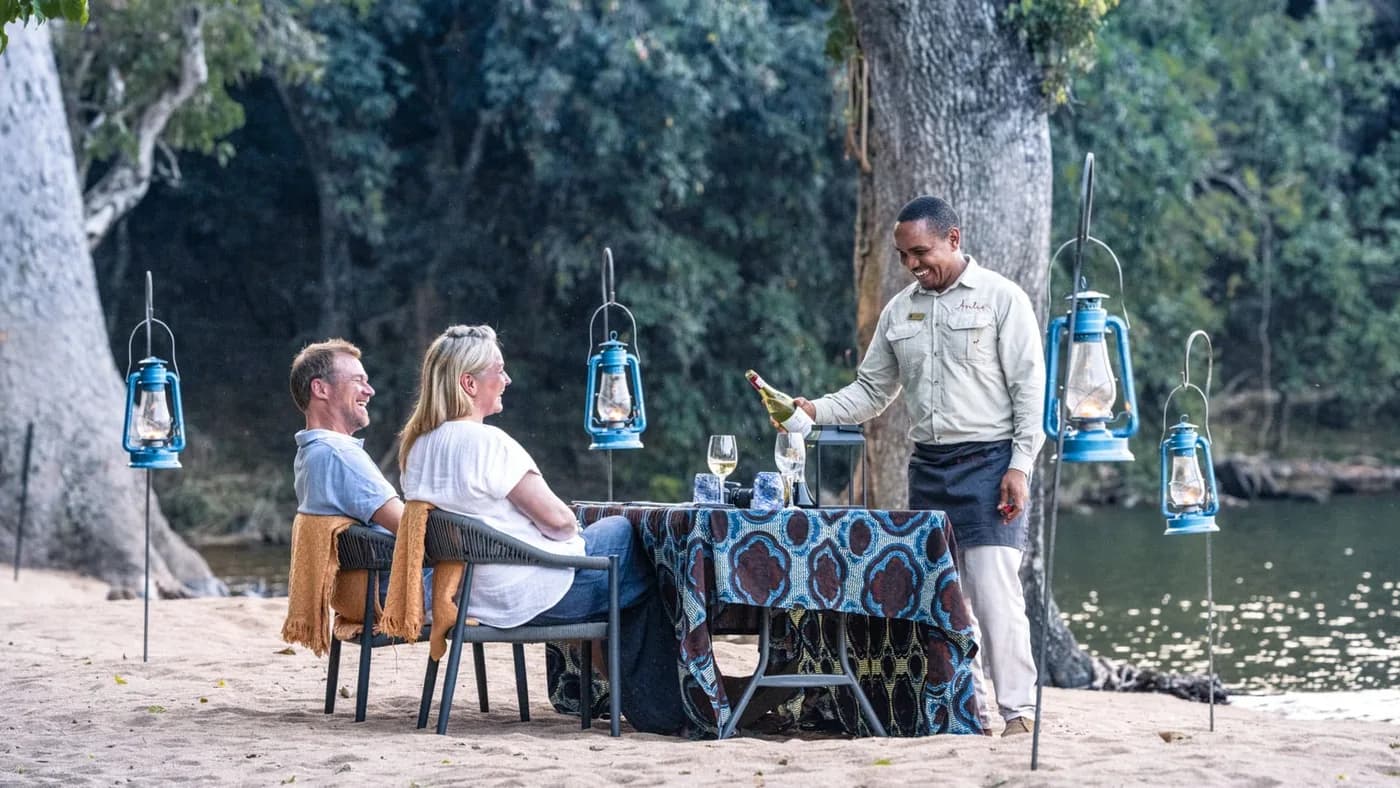 Lantern-lit dinner under the trees