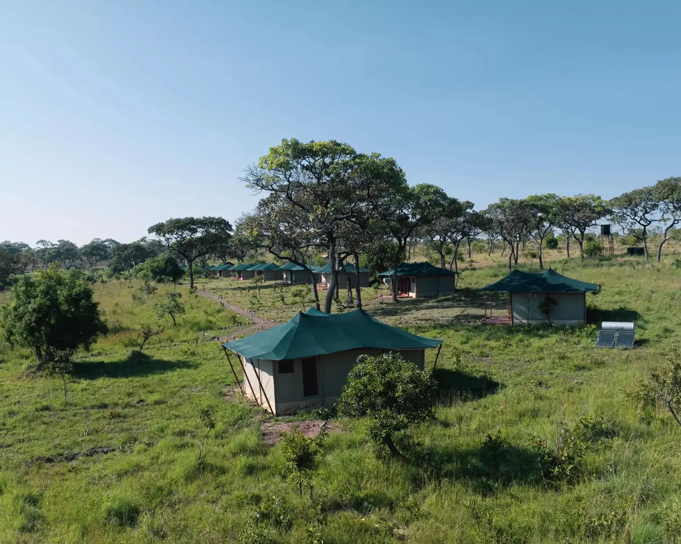 Tents among the acacias
