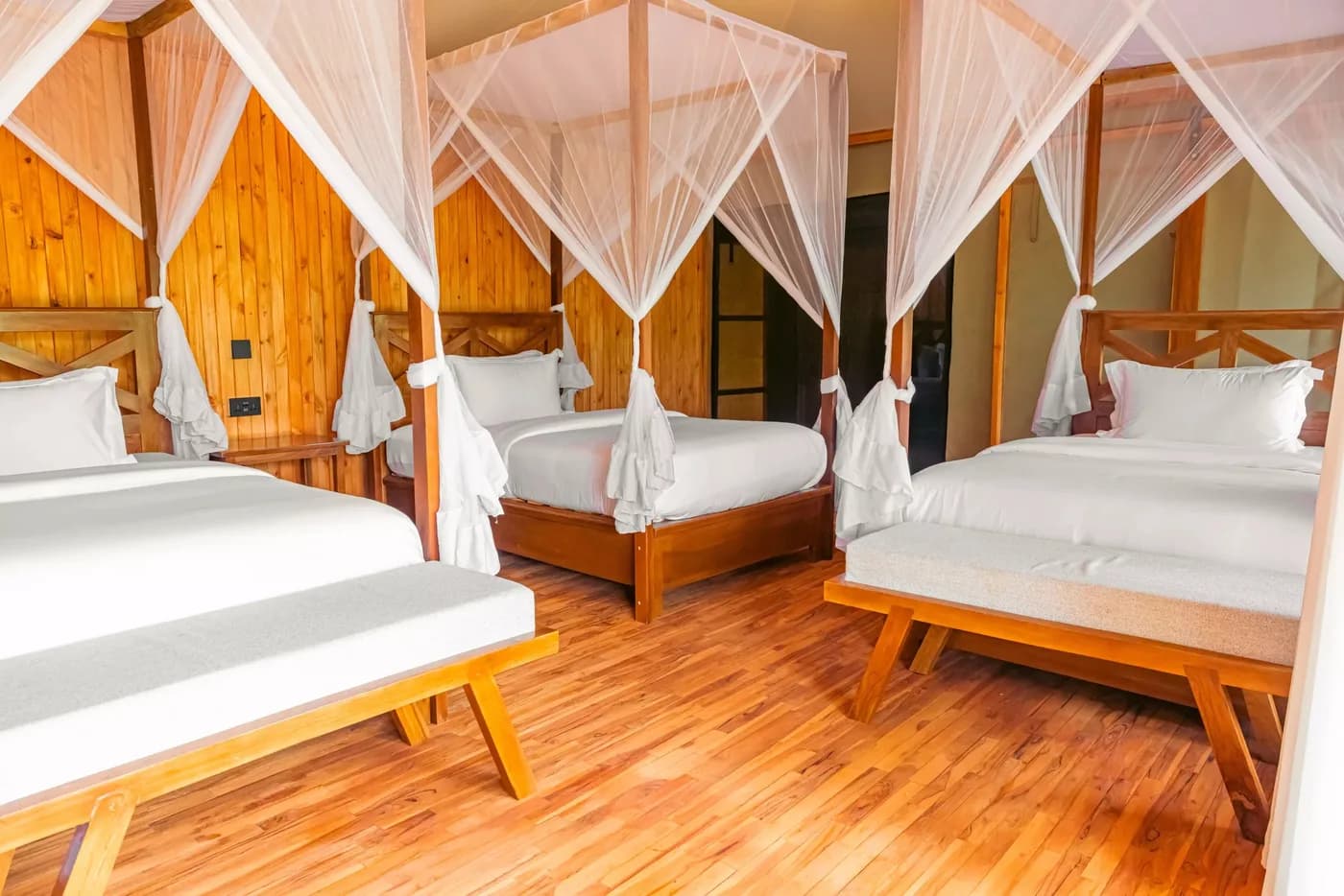Twin beds under mosquito nets