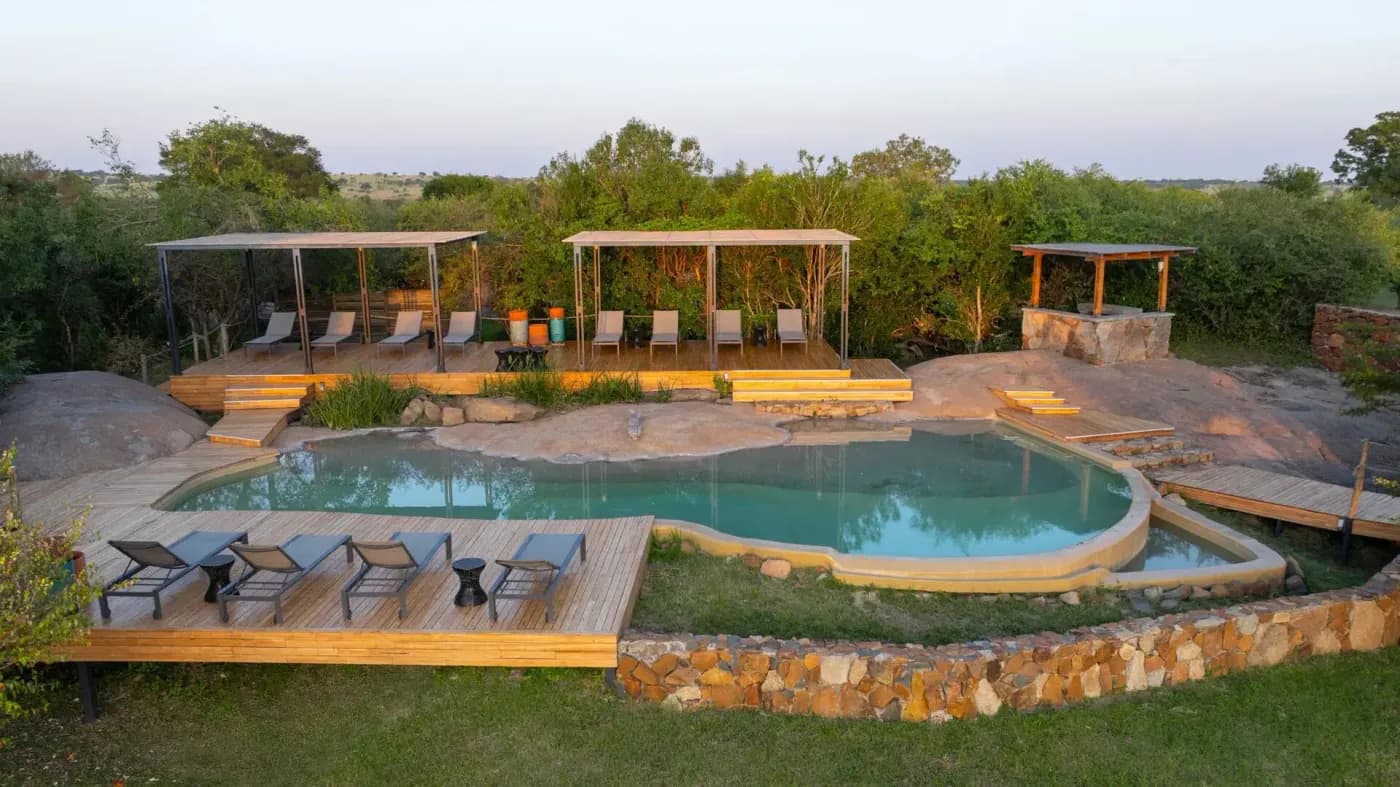 The pool and its loungers
