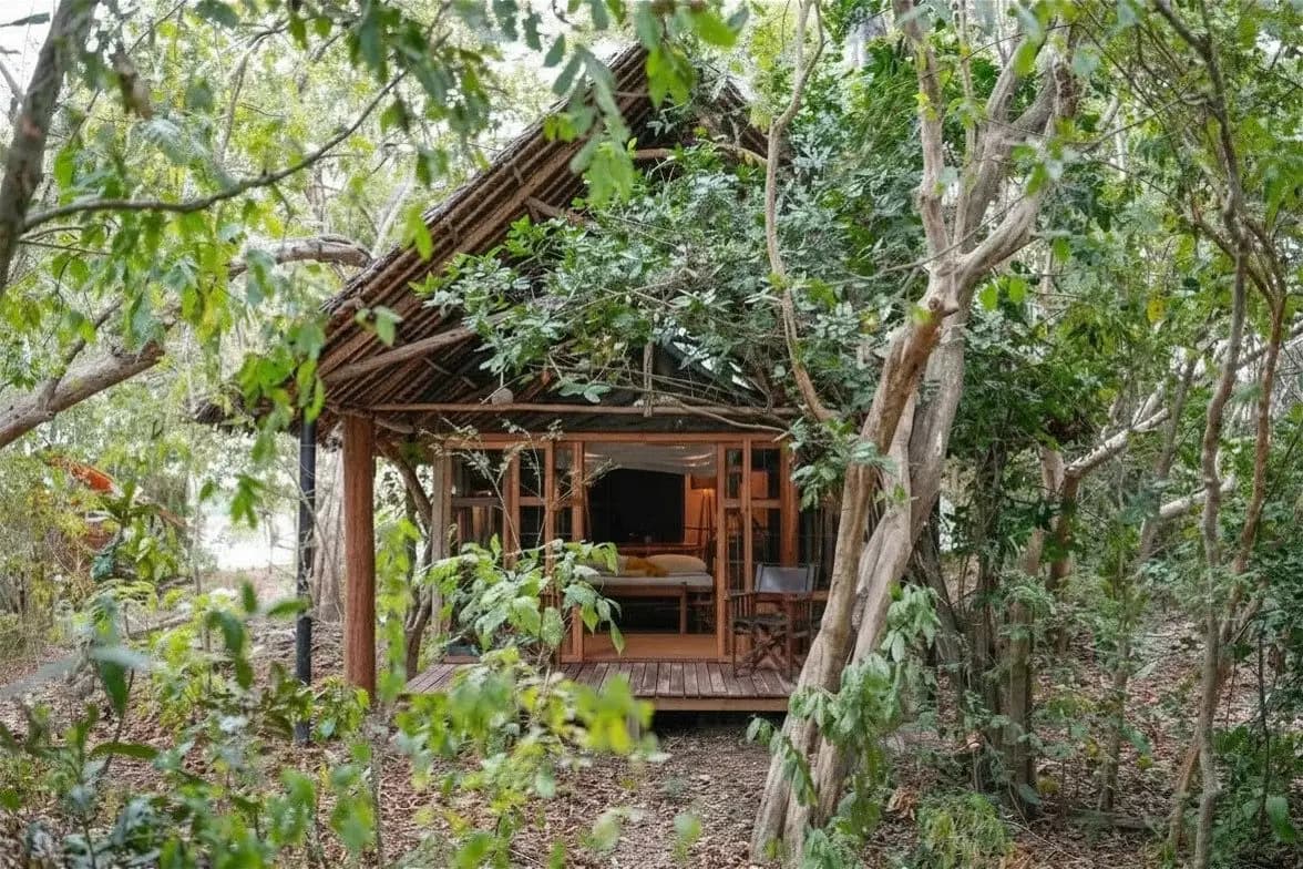 Raised cottage in the forest
