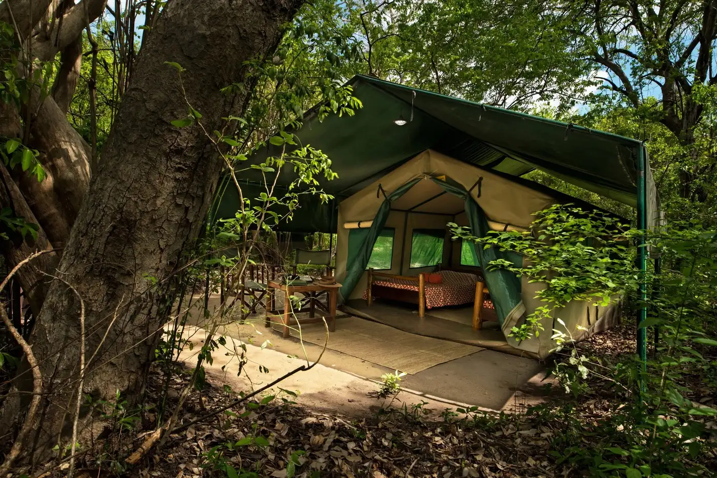 Safari tent under the trees