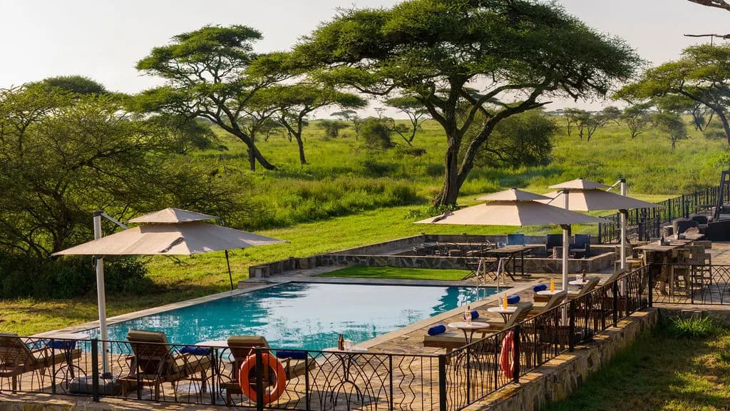 Pool beneath the acacias
