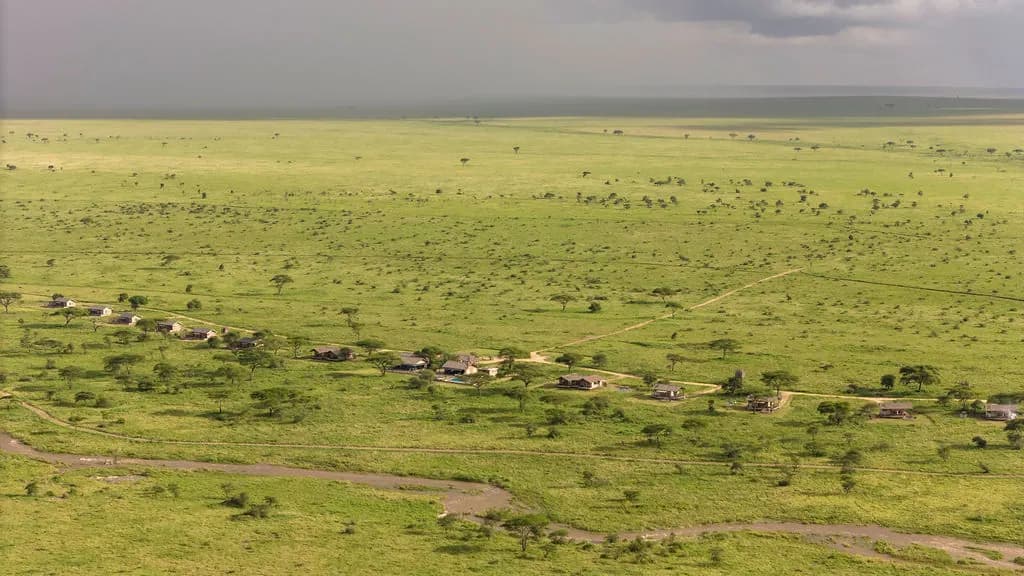 The open plains