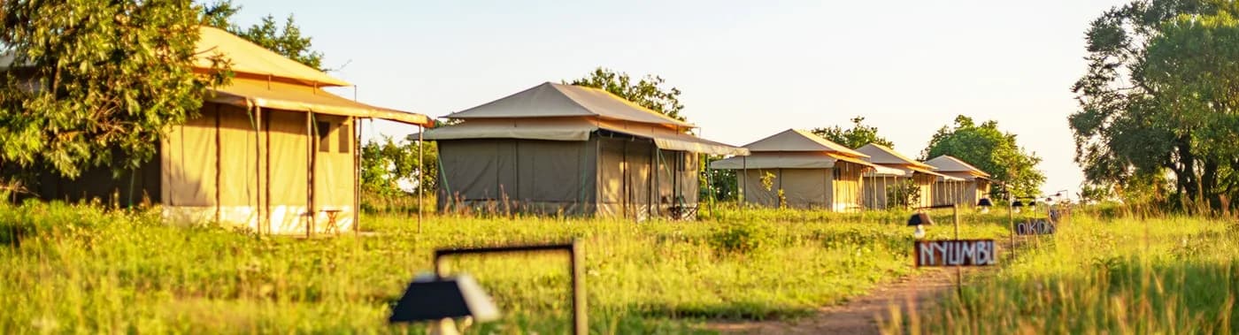 Walk-in tents on the plains