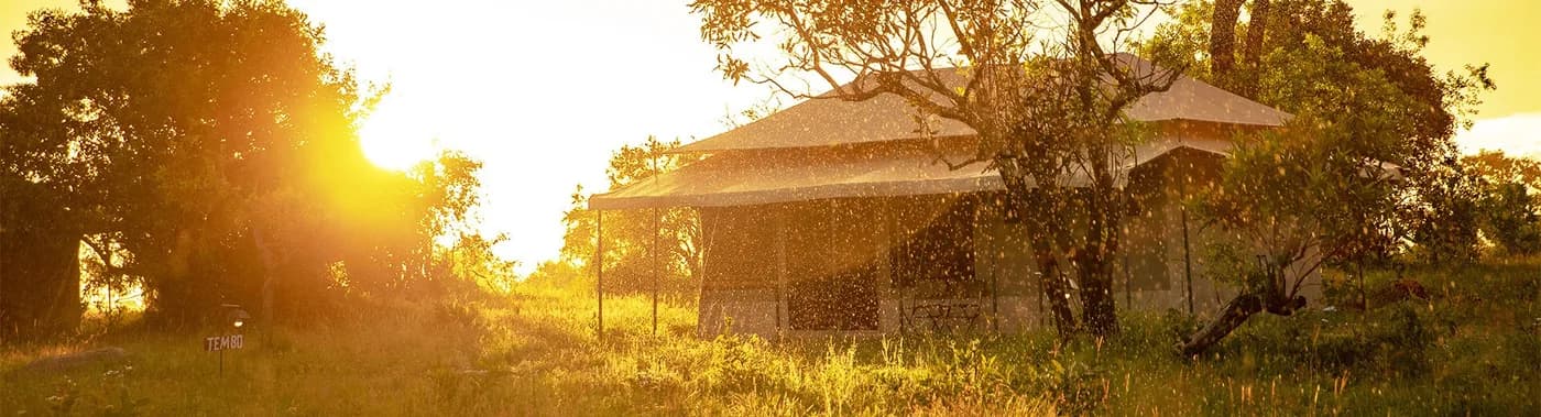 A tent in the early light