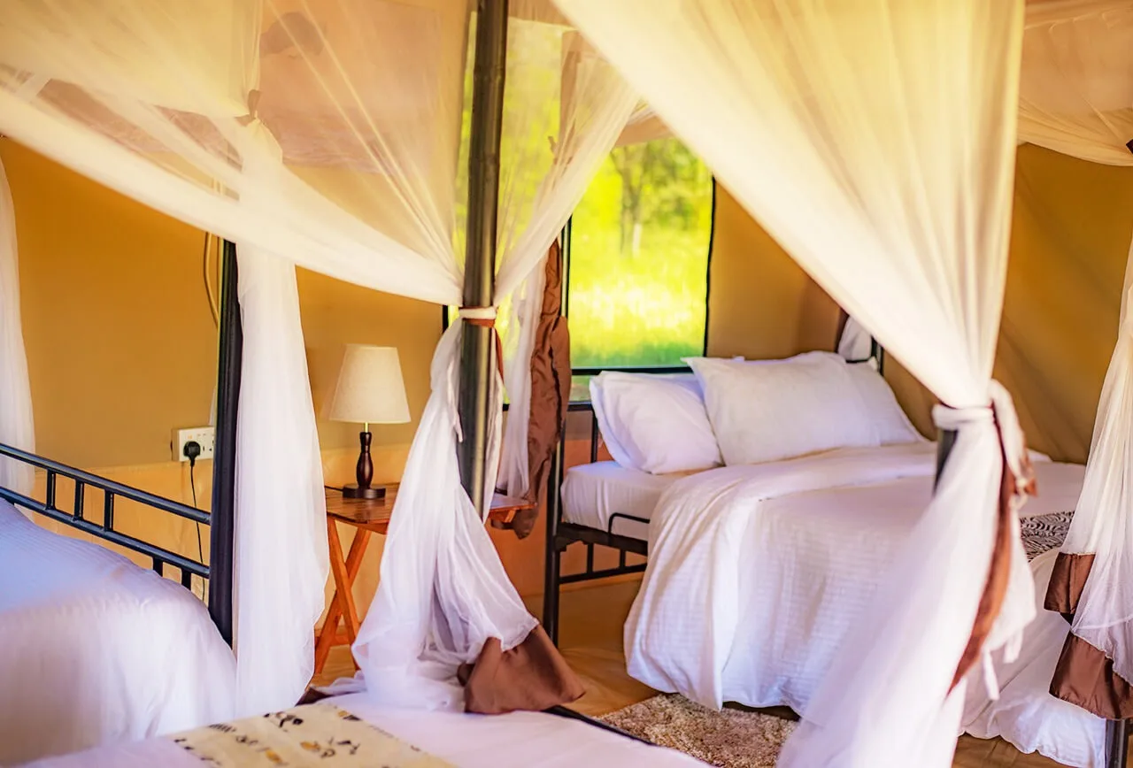 Tent interior with bedside lamps