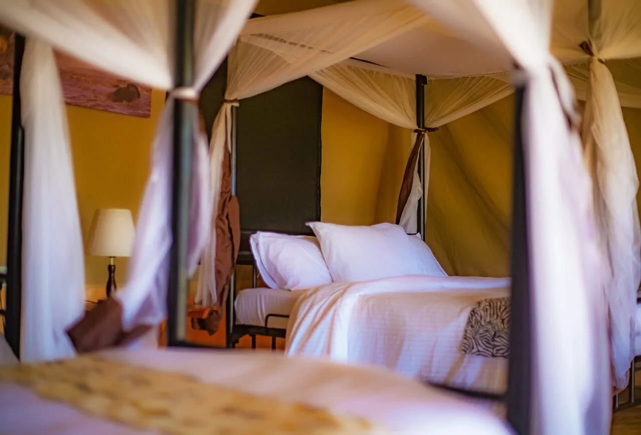 Bed and netting in a guest tent