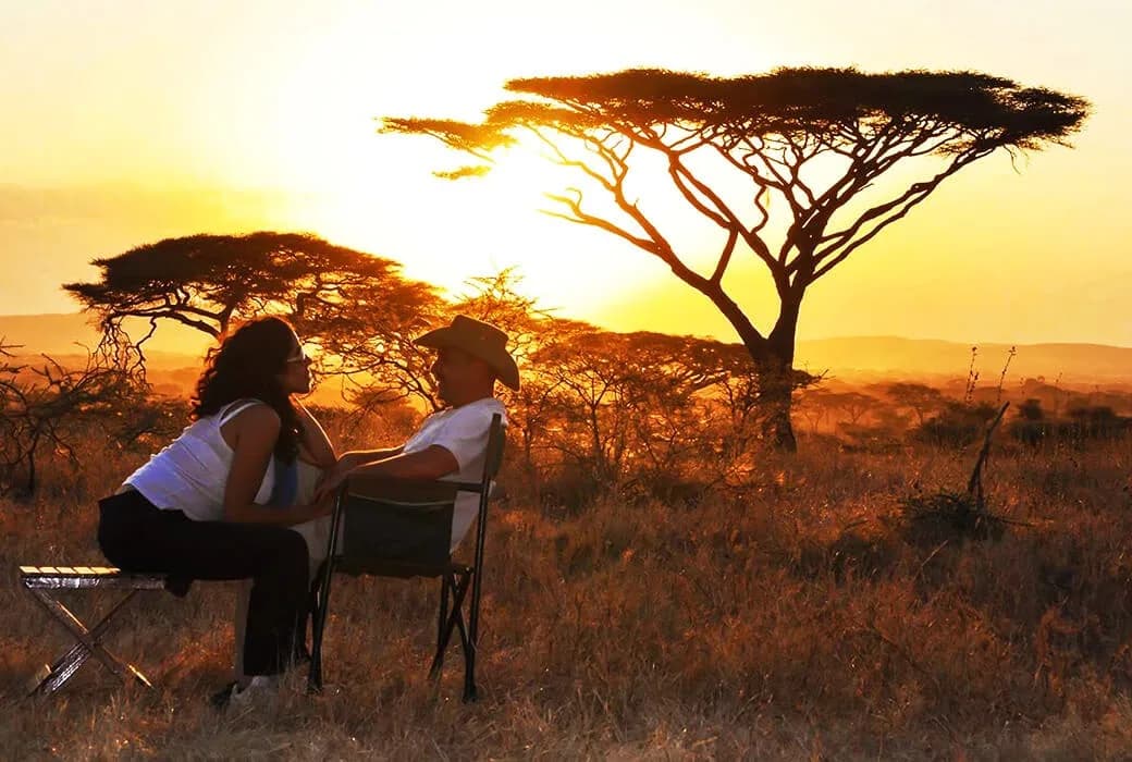 Sundowners under an acacia at sunset