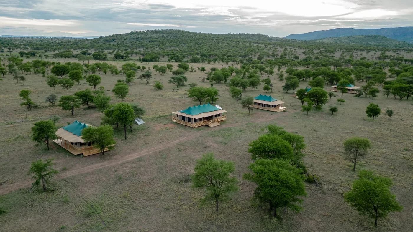 Tents spread across the savannah from the air