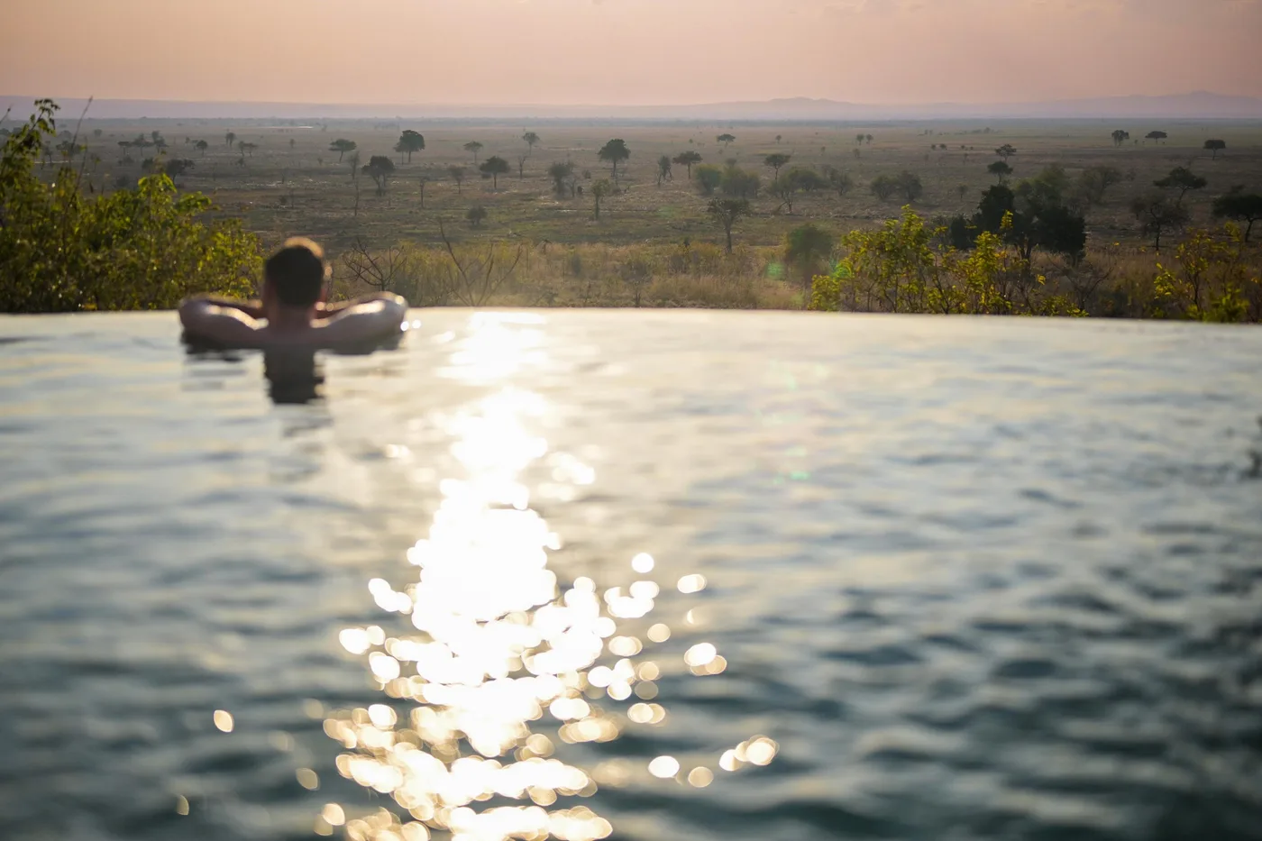 Swimming above the plains at sunset