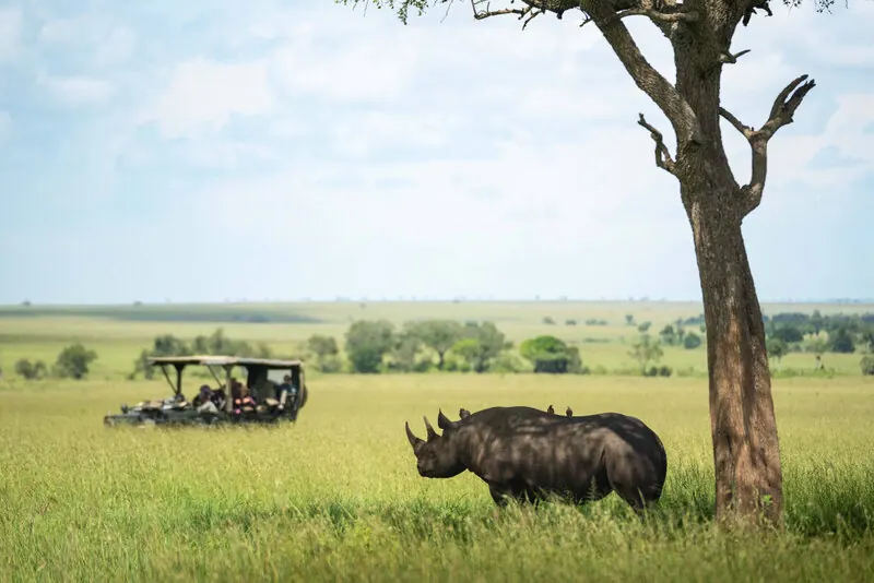 Rhino from the game vehicle
