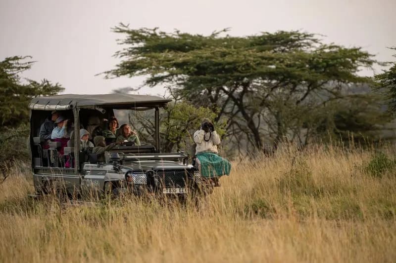 Game drive among the acacias