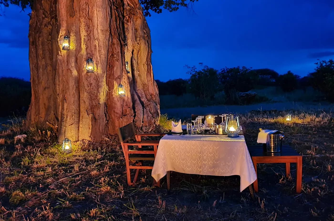 Table set beneath a baobab