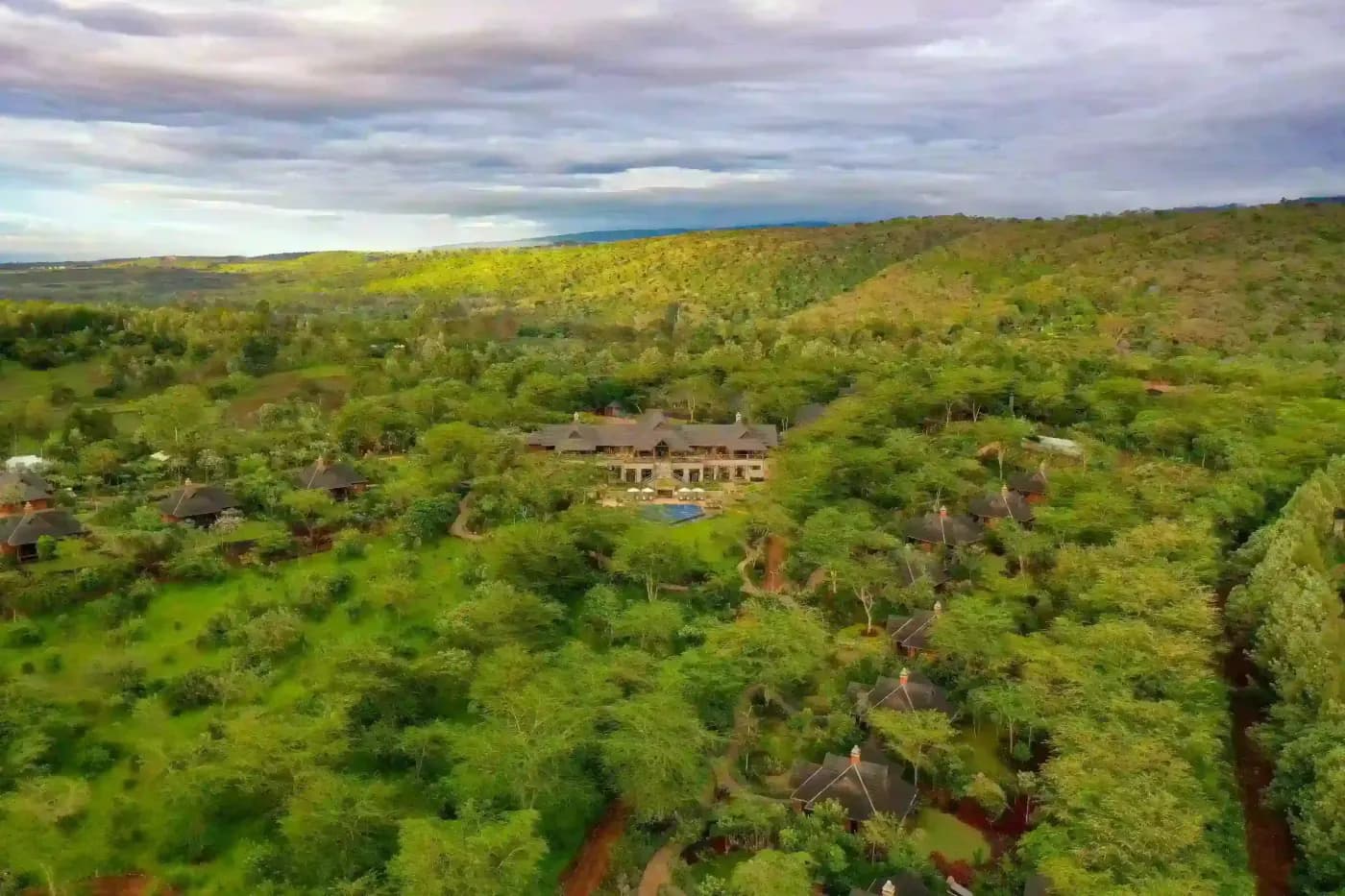 The estate among the forest