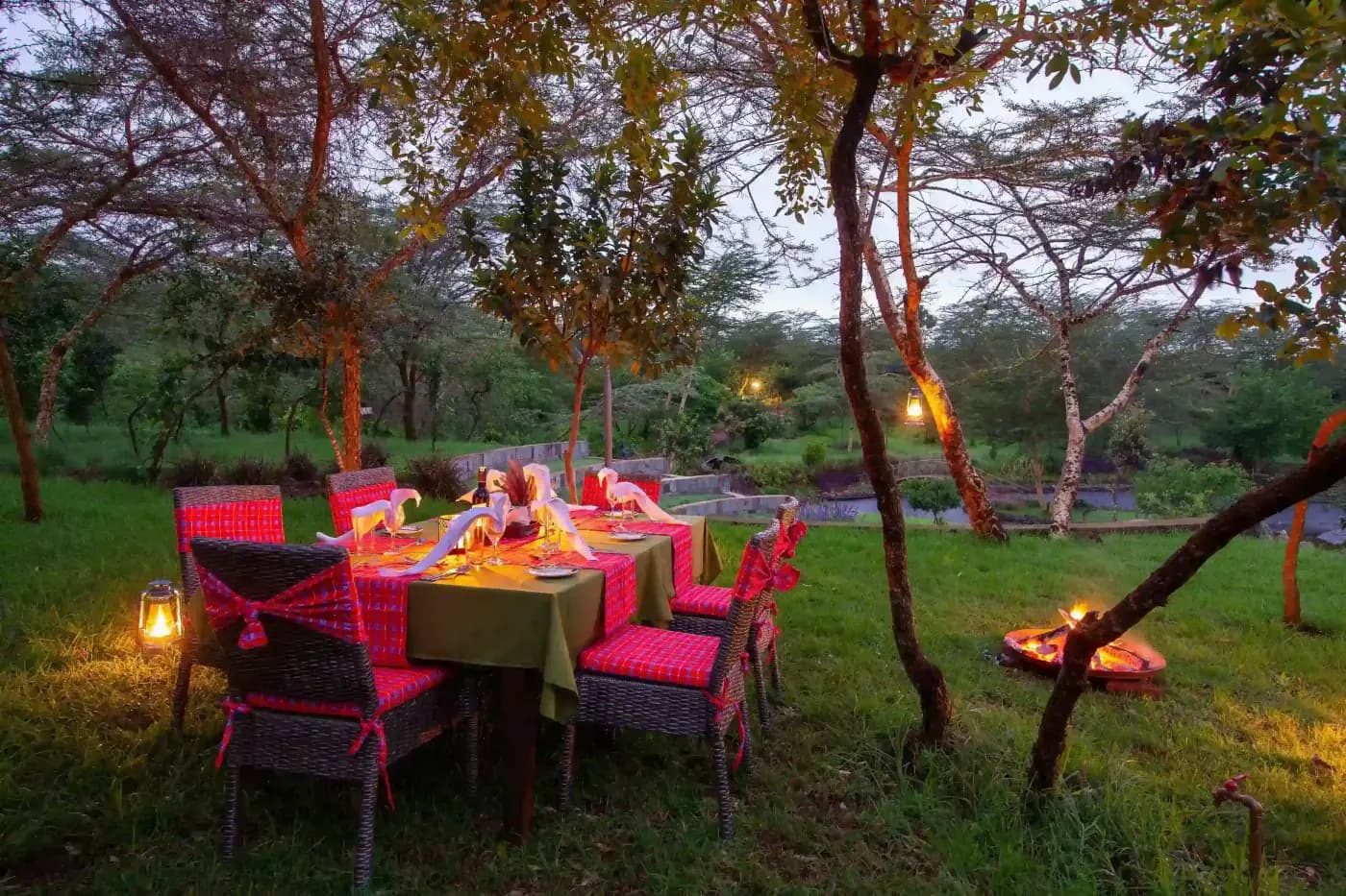 Table set under the trees