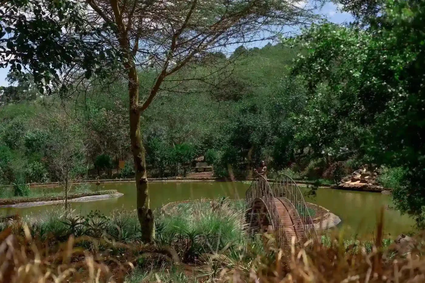 The pond in the grounds