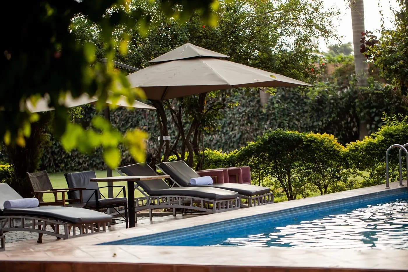 Pool and loungers in the garden