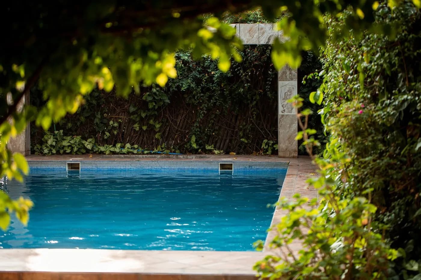 The pool among the greenery