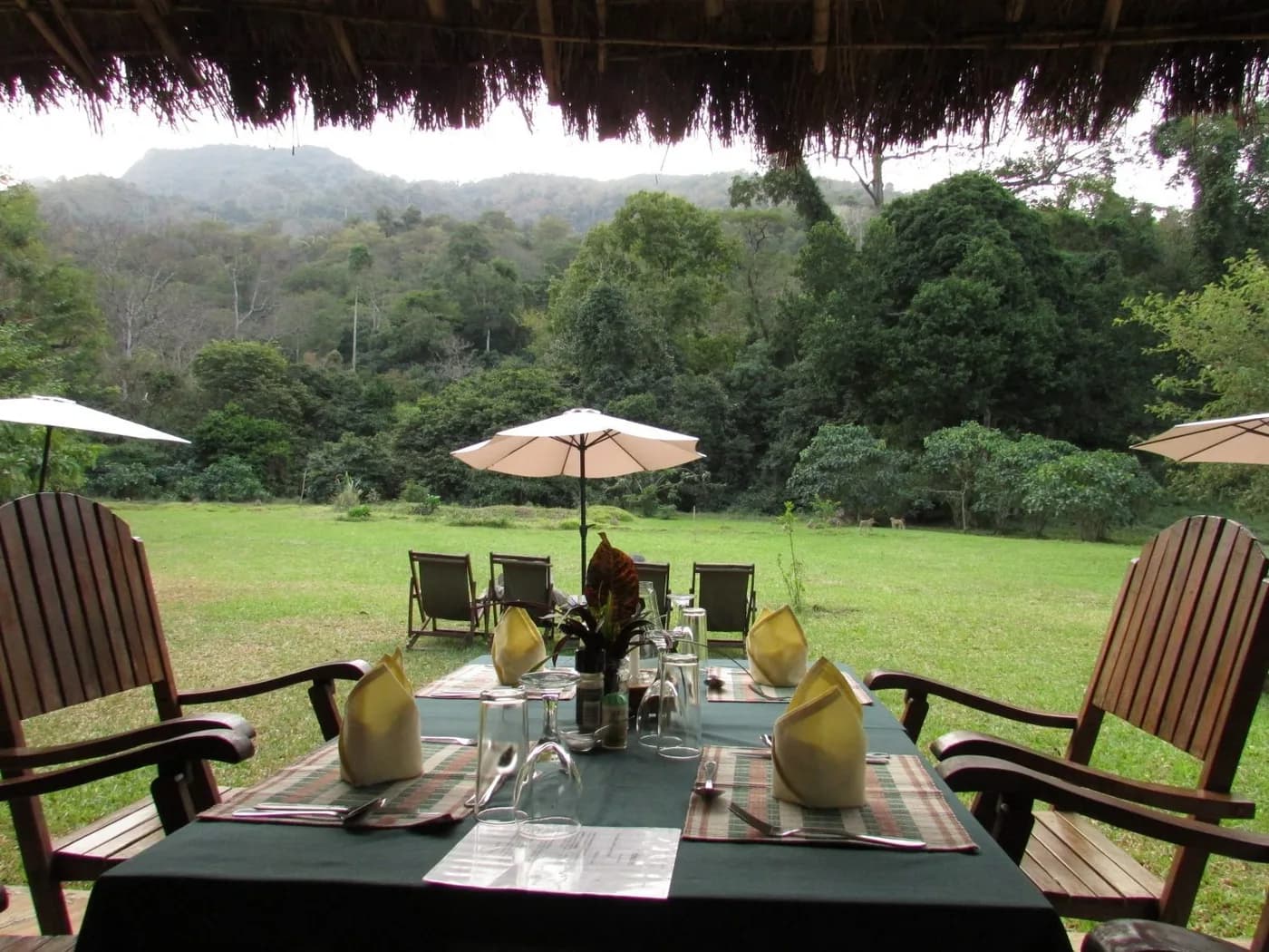 Table set on the lawn below the forest