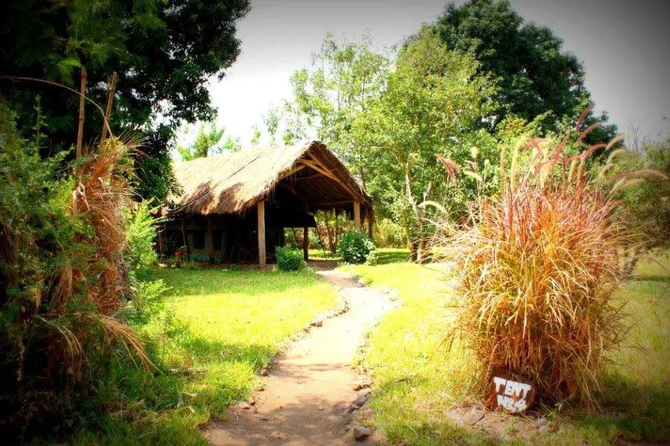 Path to a thatched banda